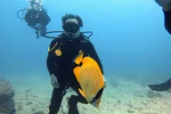 Honolulu Introductory Scuba Dive thumbnail 4