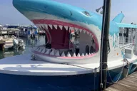 Destin Dolphin Watching and Sunset Cruise thumbnail 1