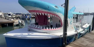 Destin Dolphin Watching and Sunset Cruise