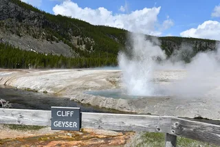 Big Sky Yellowstone Park Private Day Trip