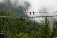 Bellingham to Whistler Private Tour thumbnail 1