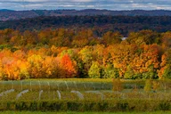 Traverse City Sunset Wine Tour on Old Mission Peninsula thumbnail 3
