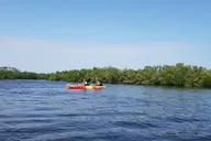 New Smyrna Beach Kayaking Ecotour thumbnail 4