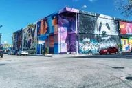 Miami Street Art Private Walking Tour thumbnail 3
