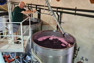 Napa Valley Private Wine Tour thumbnail 3