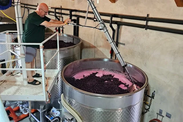 Napa Valley Private Wine Tour - Image 3