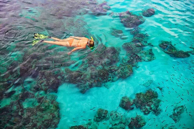 Kona Snorkel Tour: Captain Cook Reef and Sea Caves - Image 6