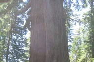 San Francisco National Parks Explorer 7 Days thumbnail 4