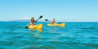 Maui Turtle Town Kayak and Snorkel Tour