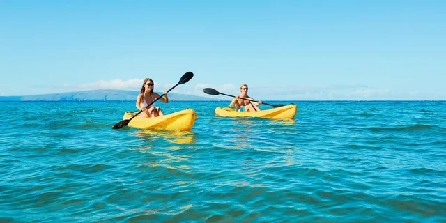 Maui Turtle Town Kayak and Snorkel Tour - Image 1