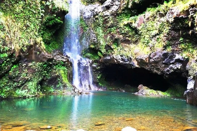Kahului Jungle Tour with Private Guide - Image 4