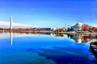 Washington DC Private Highlight Tour by Van thumbnail 1