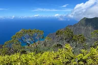 Kauai Private Guided Tour of Waimea Canyon thumbnail 6