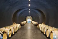 Napa Valley Wine Tasting Private Tour 6 hr thumbnail 3