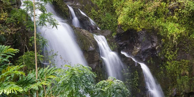 Kahului Hana Road Excursion - Image 3