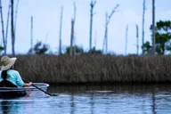 Destin Clear Kayak Eco Tour with Island Stops 2 hr thumbnail 2