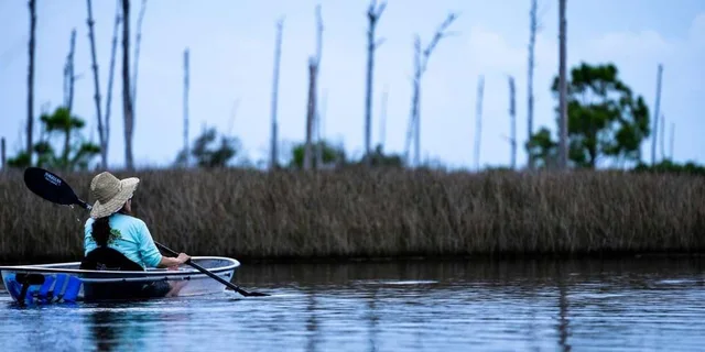 Destin Clear Kayak Eco Tour with Island Stops 2 hr - Image 2