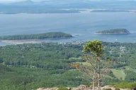 Boston to Portland & Acadia National Park Tour thumbnail 5