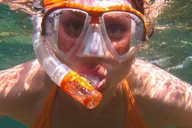 Hilo Snorkeling Tour with Nature Walk thumbnail 2
