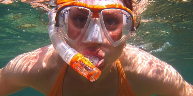 Hilo Snorkeling Tour with Nature Walk - Image 2