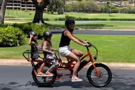 Maui Self-Guided Electric Bike Tour 2 hr thumbnail 1