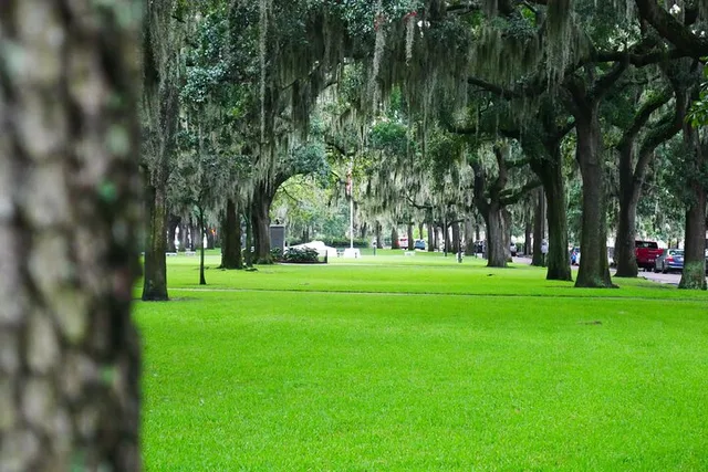 Savannah Irish History Walking Tour - Image 1