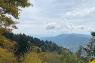 Gatlinburg Great Smoky Mountains National Park Tour 3 hr thumbnail 5