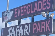 Miami Port to Everglades Safari Park Shuttle thumbnail 3
