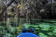 Crystal River Kayak Rental with Manatee Viewing 4 hr thumbnail 2