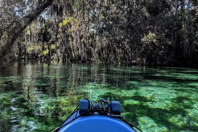 Crystal River Kayak Rental with Manatee Viewing 4 hr - Image 2