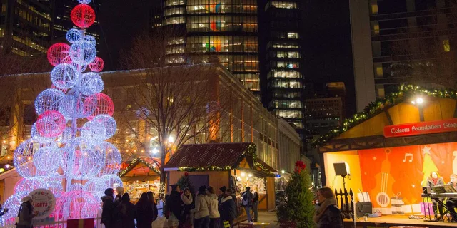 Pittsburgh Romantic and Festive Private Walk - Image 2