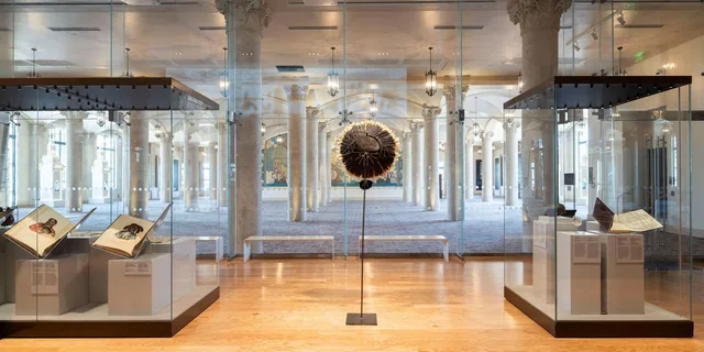 Miami Freedom Tower Museum Entry with FIFA Exhibit - Image 6