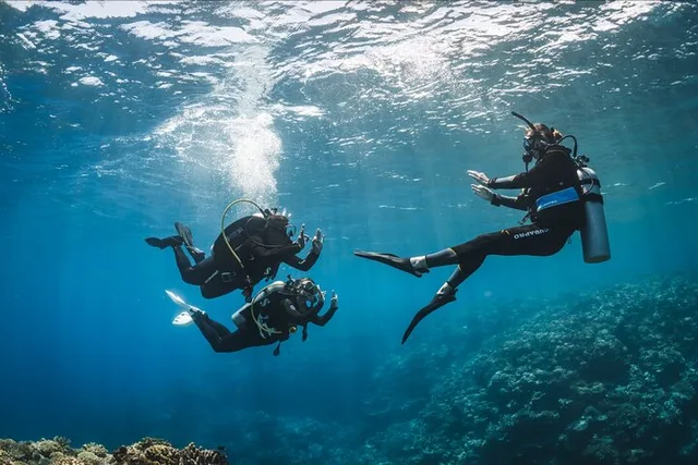 Waikiki Scuba Diving Experience - Image 2