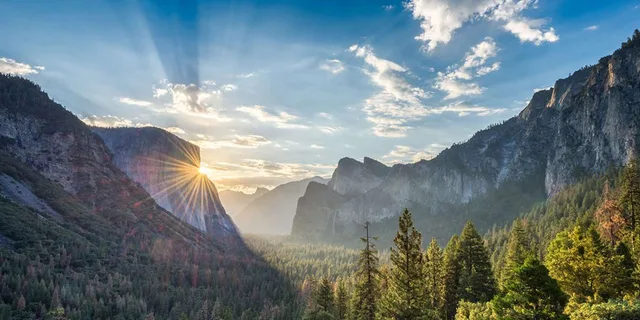 San Francisco Yosemite Day Trip with Giant Sequoias - Image 6