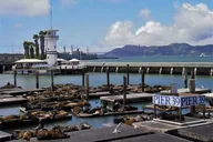 San Francisco North Beach Walking Tour thumbnail 2