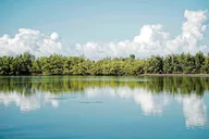 Ft Lauderdale Islamorada Tour with Boat Ride and Lunch thumbnail 4
