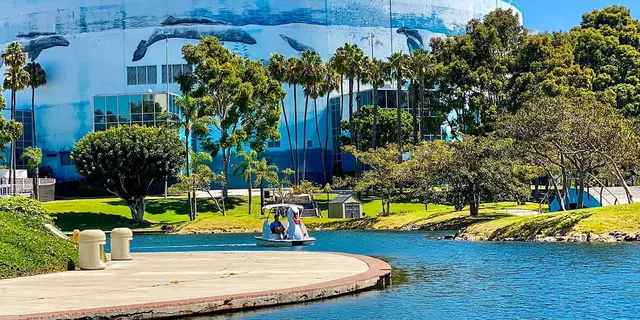 Los Angeles Swan Boat Rental at Echo Park Lake - Image 5