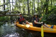 Seminole Forest Kayak Adventure on Blackwater Creek thumbnail 1