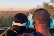 New Orleans Swamp Tour with Transportation thumbnail 5