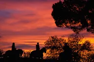 Los Angeles Horseback Riding Tour in Griffith Park thumbnail 3