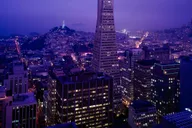 San Francisco Private Walking Tour with Local Guide thumbnail 5