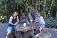 Maui Road to Hana Waterfalls Tour with Lunch thumbnail 6