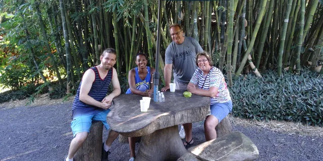 Maui Road to Hana Waterfalls Tour with Lunch - Image 6