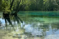 Panama City Beach Cypress Springs Kayak & Paddle Tour thumbnail 6