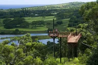 Kauai Zipline Adventure in Koloa thumbnail 6