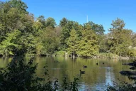 New York City Central Park Pedicab Tour thumbnail 3