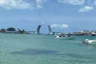 Madeira Beach Shell Key Dolphin Boat Tour Half Day thumbnail 4
