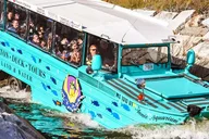 Boston Duck Tour thumbnail 1