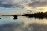 Key Largo Mangrove Eco-Tour 90 Min thumbnail 3