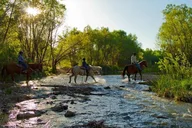 Sedona Horseback Tour with River Crossing 2 hr thumbnail 4